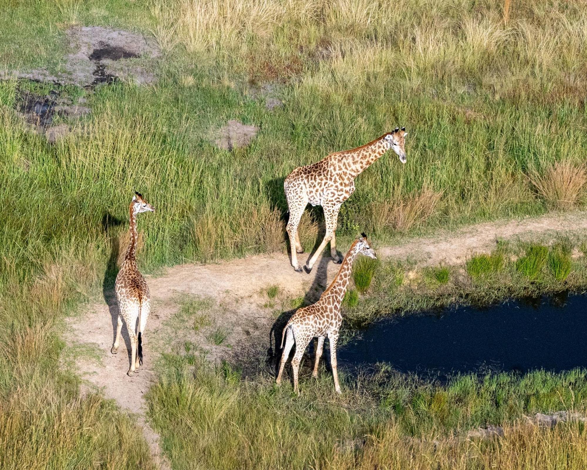 Zulu Rock Lodge - Babanango Game Reserve Ulundi Kültér fotó